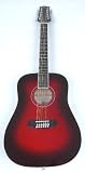 SX DG160/12/DSR 12 String Acoustic Guitar