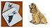 Cocker Spaniel (Buff) Beverage Coaster Set