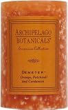 Archipelago Botanicals Excursion Collection Candle Pillar ( 3 in L x 2 in W ) (Duo Pillars) Demeter