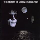 Floodlands