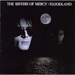 Floodlands