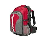 Kelty KIDS Transit 2.0 Child Carrier (Patriot/Pearl)