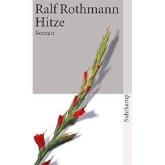 Hitze: Roman (suhrkamp taschenbuch)