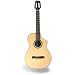 Line 6 Variax 300 Acoustic Guitar, Nylon