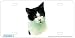 Black & White Shorthair Cat Art Print - License Plate Tag By Robert J. May From Airstrike