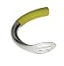 Rick Bayless by Copco Silicone Avocado Scooper, Cilantro