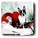 boston_terrier16boston terrier - Dogs Boston Terrier Molly Boston Terrier Mouse Pads