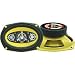 Pyle PLG69.8 6"X9" Eight-Way Speaker System (Pair)