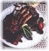 Gourmet Food : Venison 4 Bone Frenched Rack