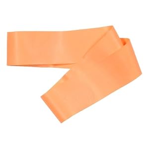 Buy Champion Sports Fitness Loop - Light Medium Resistance