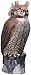 Rotating Head Owl