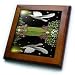 Silent Surrender - Bird - Dove Art - 8x8 Framed Tile
