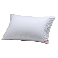 Aller-Ease Hot Water Washable Allergy Pillow, King, Firm