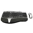 Microsoft OEM Natural Ergo Keyboard and Mouse, USB