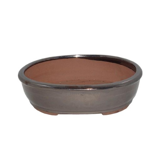 25cm Glazed Oval Bonsai Pot - Metallic Finish