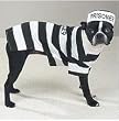 Dog Costume - Prison Pooch Dog Halloween Costume - X-Small (XS)