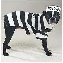 Dog Costume - Prison Pooch Dog Halloween Costume - Small