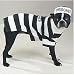 Dog Costume - Prison Pooch Dog Halloween Costume - Small