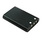 Lenmar DLNEL11 Lithium Ion Replacement Battery for Nikon EN-EL11, Pentax Pentax D-Li78, Ricoh DB-80