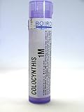 Colocynthis 1M 80 plts