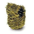 Natures Nest Finch Stick, 3 x 5 by Super Pet