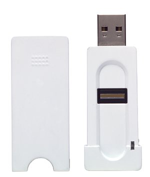 large image