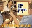 How Do I Become a Veterinarian?