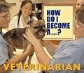 How Do I Become A...? - Veterinarian