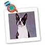 Dogs Boston Terrier - Boston Terrier - Quilt Squares