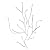 Algue by