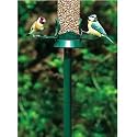 Bird Feeder Pole