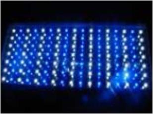 GreenLEDBulb 119 Watt Blue and White LED High Power Square Aquarium light Panel, Replace 250w-300w MH/HPS lamps
