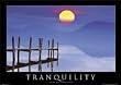 TRANQUILITY 24x36 Poster Framed