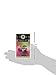 Stash Tea Mangosteen Green Tea 18 Count Tea Bags in Foil (Pack of 6) (Packaging May Vary) Individual Green Tea Bags for Use in Teapots Mugs or Cups, Brew Hot Tea or Iced Tea