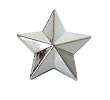 Trik Topz Stars Valve Caps " Chrome