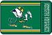Notre Dame Fighting Irish 20