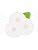 White Lace Button Rosettes on White
