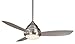 Minka-Aire F577-BNW Minka Aire One Light Outdoor Fan, Brushed Nickel Wet