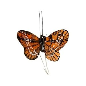 Midwest Design Butterfly Feather 2.5" Wire Baltimore (6 Pack)