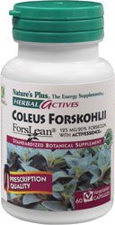 Herbal Actives Coleus Forskohilli Forslean - 60 - Capsule