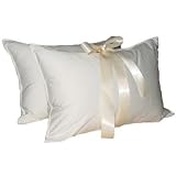 Classic White Goose Down Feather Pillow, Set of two pillows by Natural Comfort