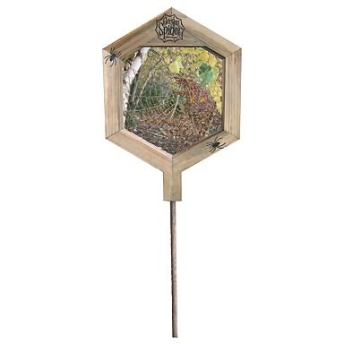 Childrens Toyshop  Toys : Natural History Museum Spider Web Maker