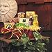 Chili Out! - Stnadard Shipping Only - Bits and Pieces Gift Store