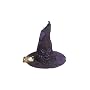 Harry Potter tm Sorting Hat