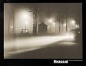 Brouillard Avenue de l'Observatoire Art Print by Brassa&iuml;, 35" x 28"