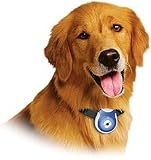 Uncle Milton Pet’s Eye View Camera