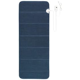 ���� ����衼 SANYO �ۥåȥޥåȡ֤ͤ�����ܡ� (�֥롼) DM-N10E(L)