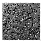 Fireplace Back Plates