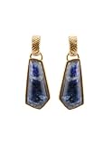 Bronzed By Barse Dumortierite Half Hoop Post Earrings