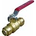 Cash Acme 22222 Shark Bite Push-Fittings Ball Valve, 1/2-Inch